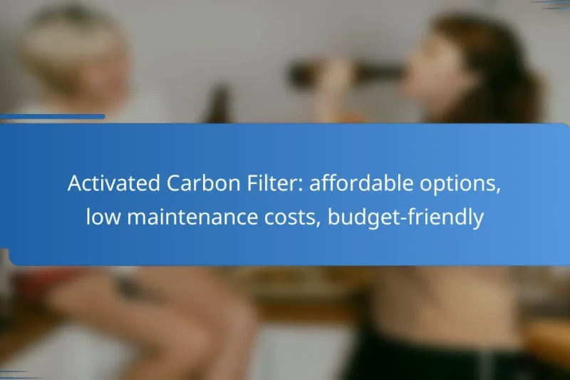 Activated Carbon Filter: affordable options, low maintenance costs, budget-friendly