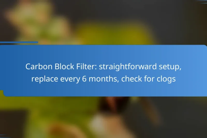 Carbon Block Filter: straightforward setup, replace every 6 months, check for clogs