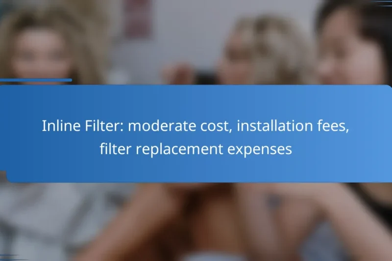 Inline Filter: moderate cost, installation fees, filter replacement expenses