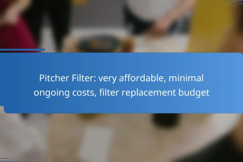 Pitcher Filter: very affordable, minimal ongoing costs, filter replacement budget