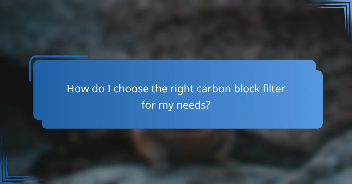 How do I choose the right carbon block filter for my needs?