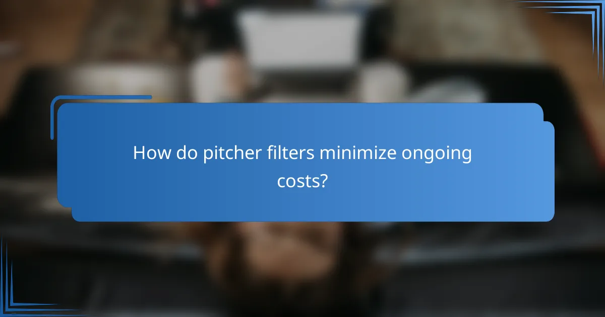 How do pitcher filters minimize ongoing costs?