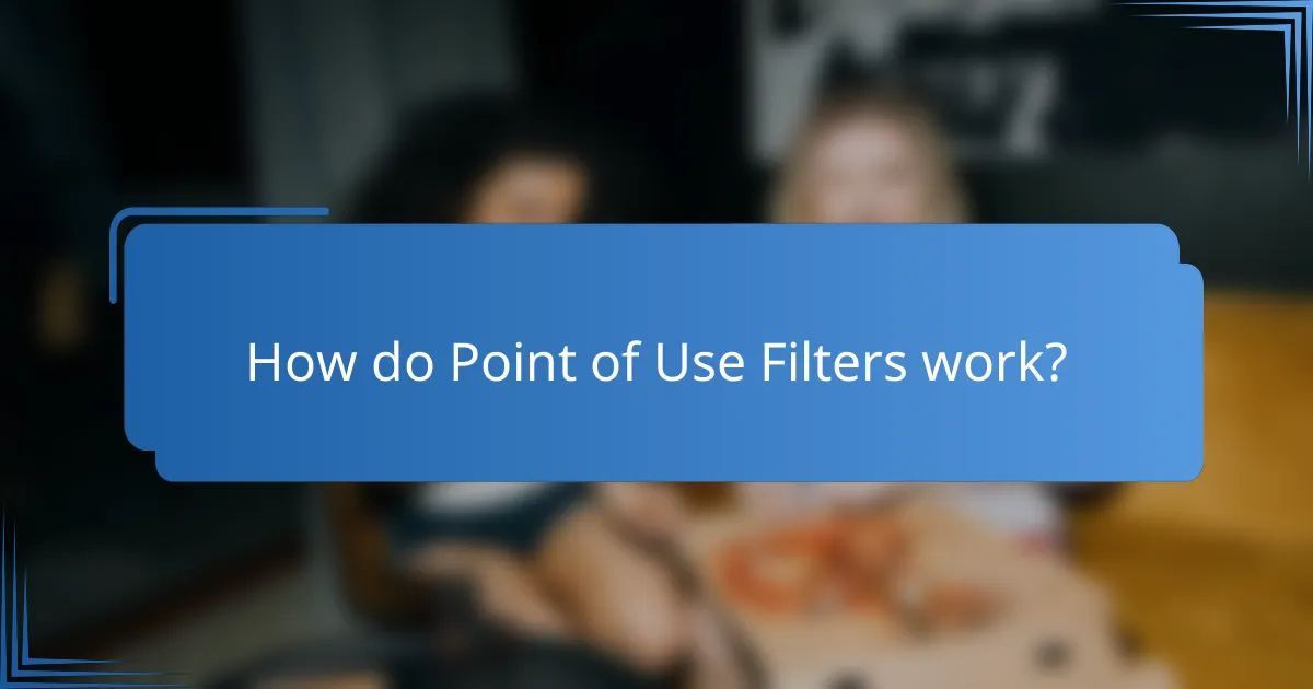 How do Point of Use Filters work?