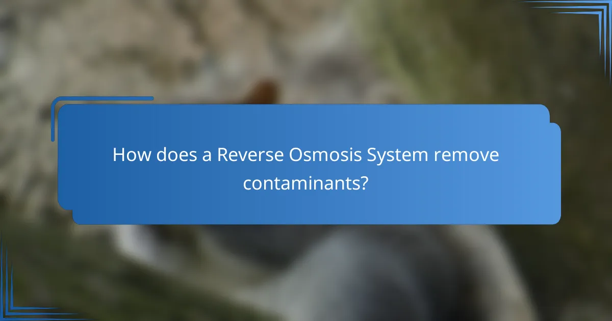 How does a Reverse Osmosis System remove contaminants?