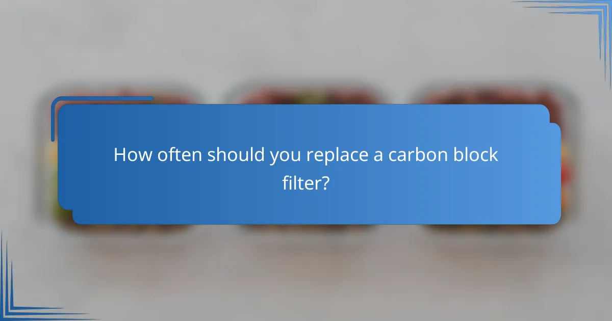 How often should you replace a carbon block filter?