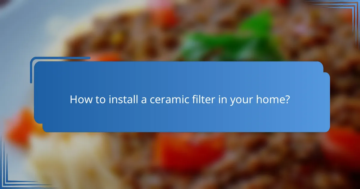How to install a ceramic filter in your home?