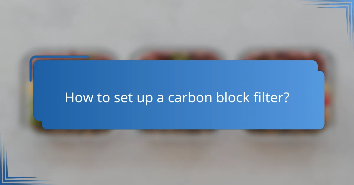 How to set up a carbon block filter?