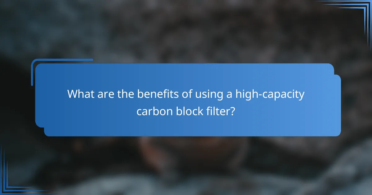 What are the benefits of using a high-capacity carbon block filter?