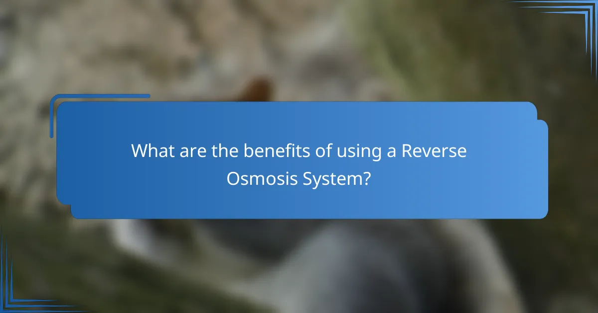 What are the benefits of using a Reverse Osmosis System?