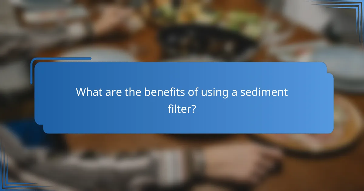 What are the benefits of using a sediment filter?