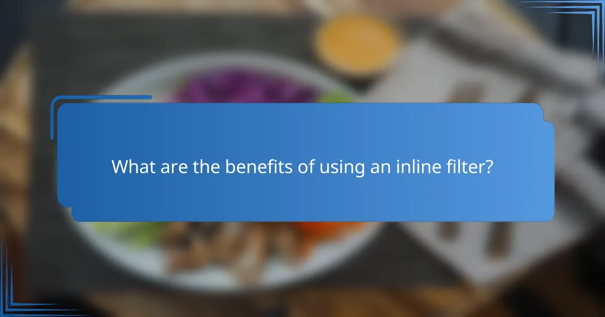 What are the benefits of using an inline filter?