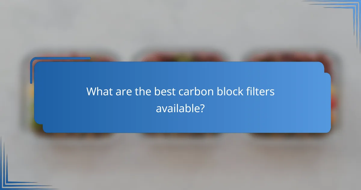 What are the best carbon block filters available?