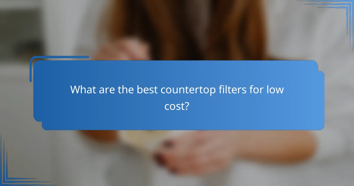 What are the best countertop filters for low cost?