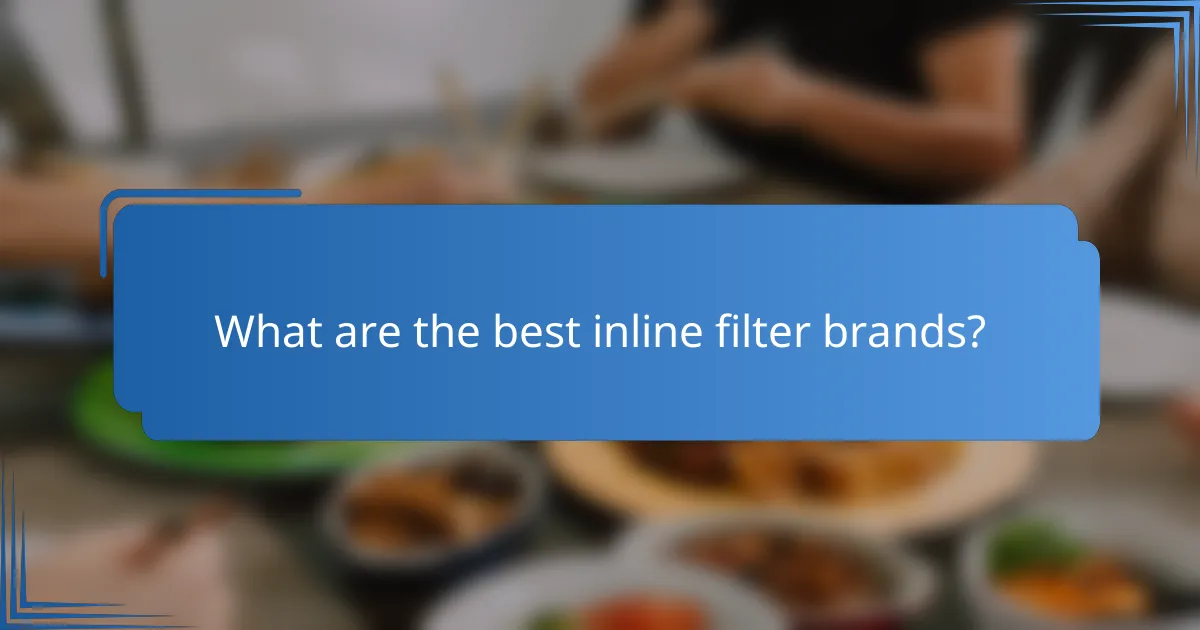 What are the best inline filter brands?