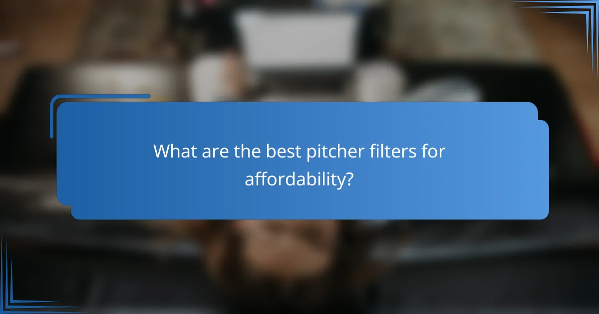 What are the best pitcher filters for affordability?