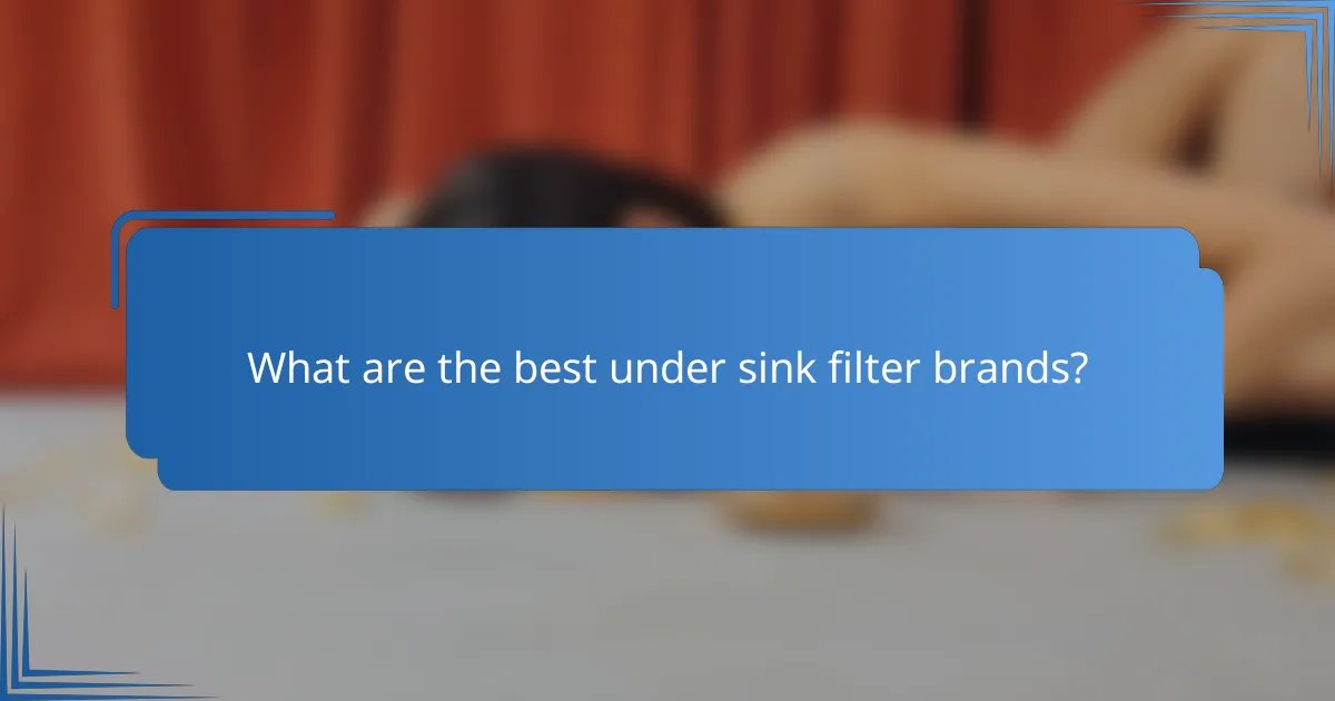 What are the best under sink filter brands?