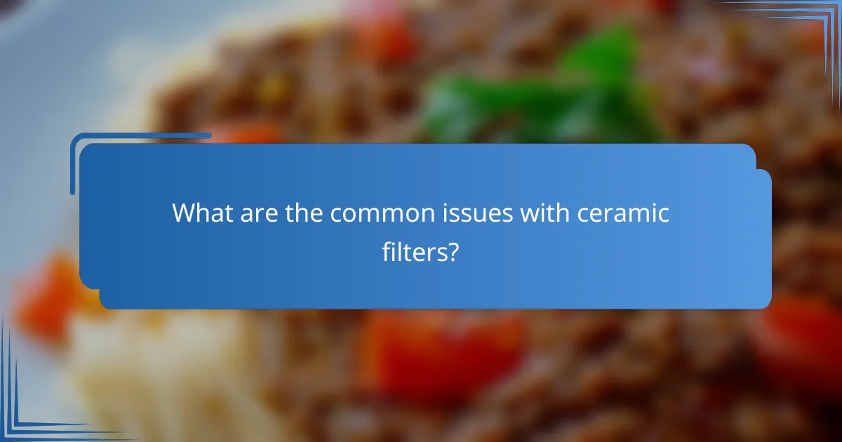 What are the common issues with ceramic filters?