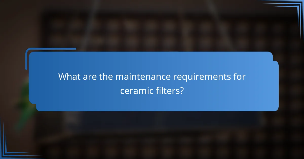 What are the maintenance requirements for ceramic filters?