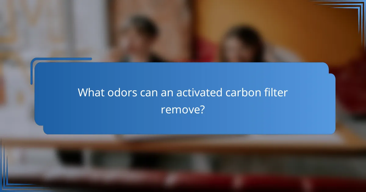 What odors can an activated carbon filter remove?