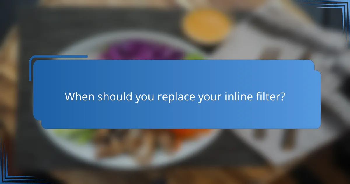 When should you replace your inline filter?