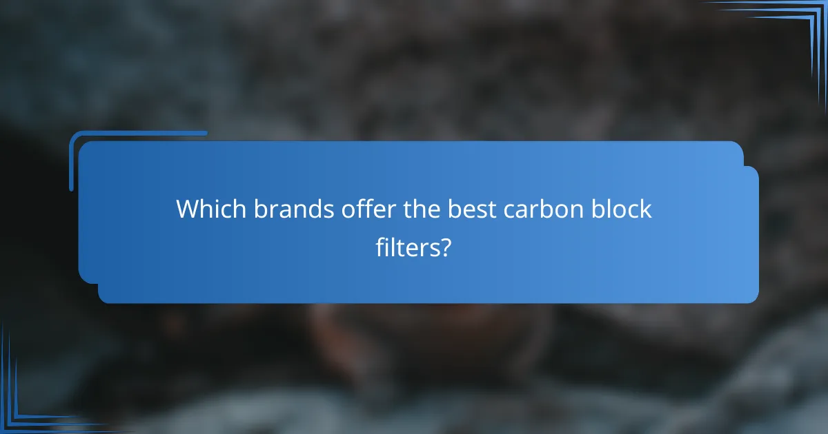 Which brands offer the best carbon block filters?