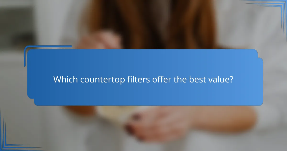 Which countertop filters offer the best value?